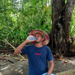 Peninjauan Kembali Penamaan Varietas Cengkeh Hutan dalam Proses Pra-Pelepasan