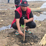 Tanam 1000 Anakan Mangrove, Politik Hijau PDI Perjuangan Rawat Pertiwi
